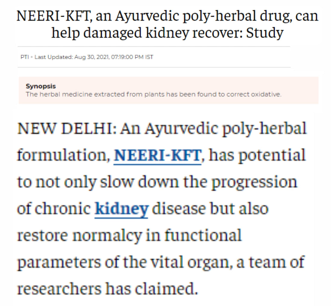 NEERI-KFT, an Ayurvedic Poly herbal drug, can help damaged kidney recover: Study