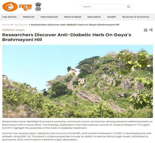 Researchers Discover Anti-Diabetic Herb On Gaya’s Brahmayoni Hill, 2025
