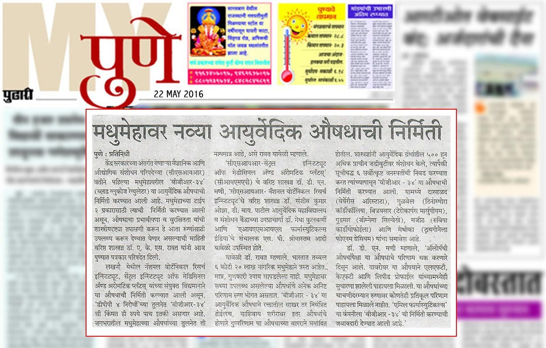 Pudhari Newspaper Pune- BGR-34