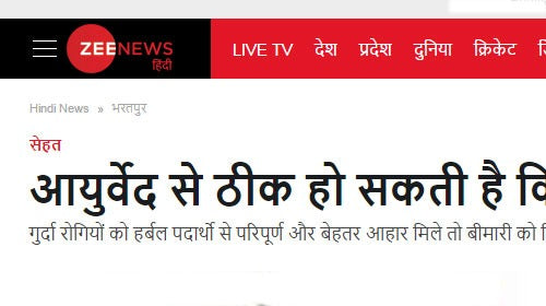 आयुर्वेद से ठीक हो सकती है किडनी की बीमारियां
