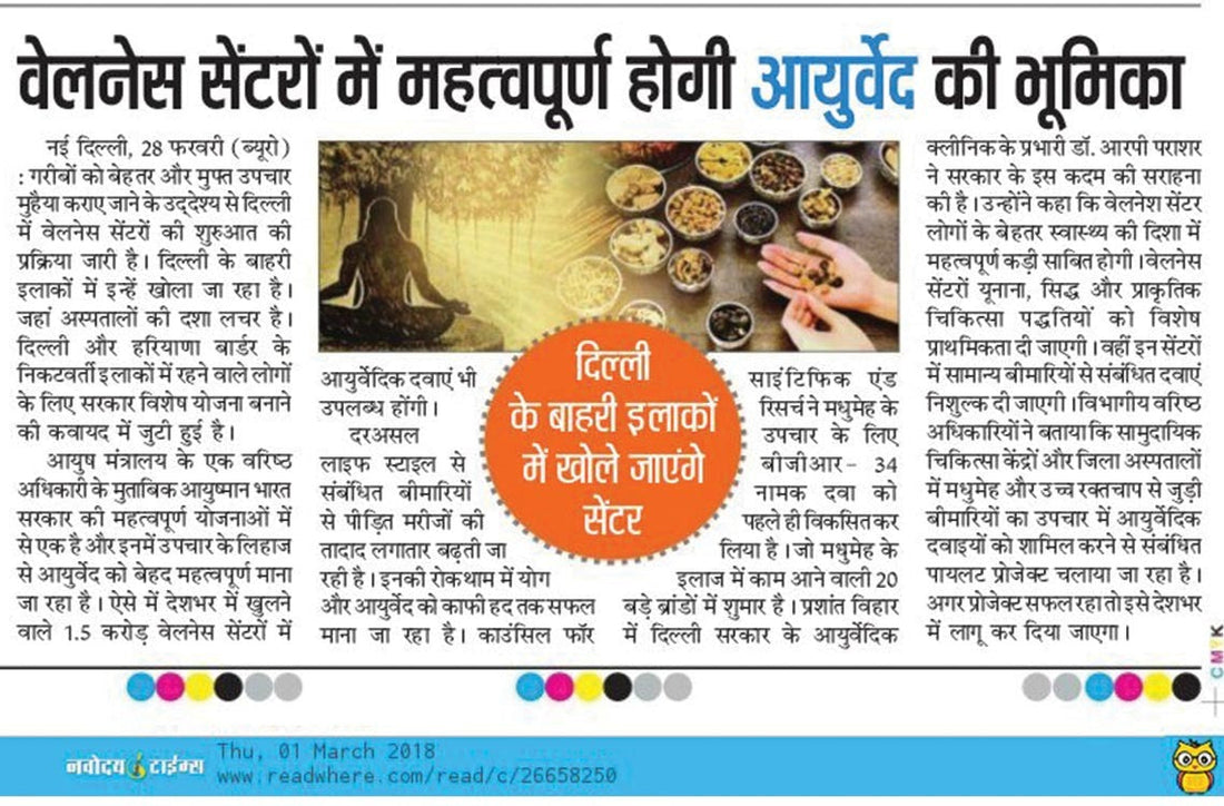 Ayurveda will pay an important role in wellness centers