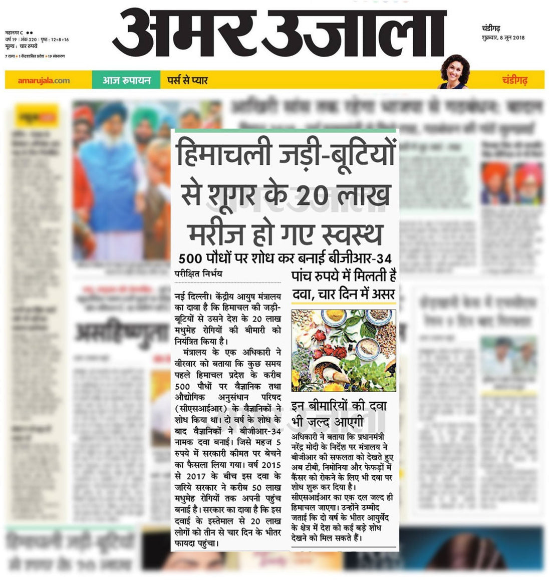 500 पौधो् पर शोध कर बनाई बीजीआर-34 – Amar Ujala