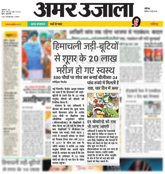 500 पौधो् पर शोध कर बनाई बीजीआर-34 – Amar Ujala