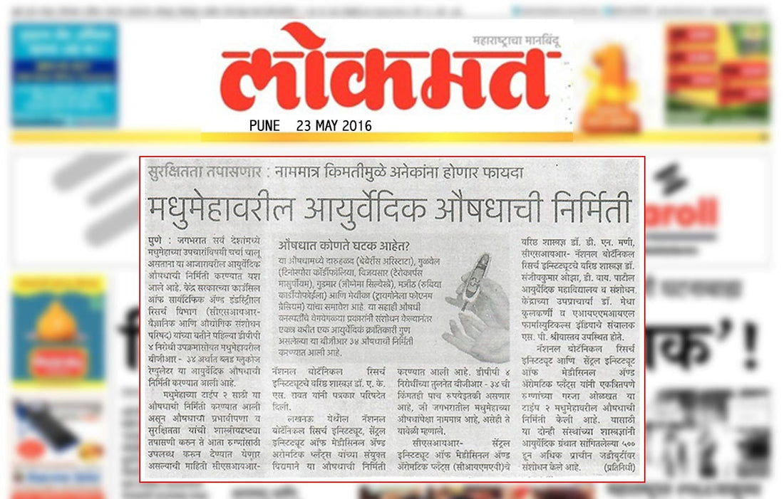 Lokmat Newspaper Article- BGR-34