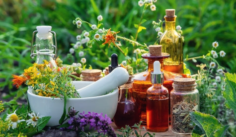 Pioneering Excellence in Herbal Wellness