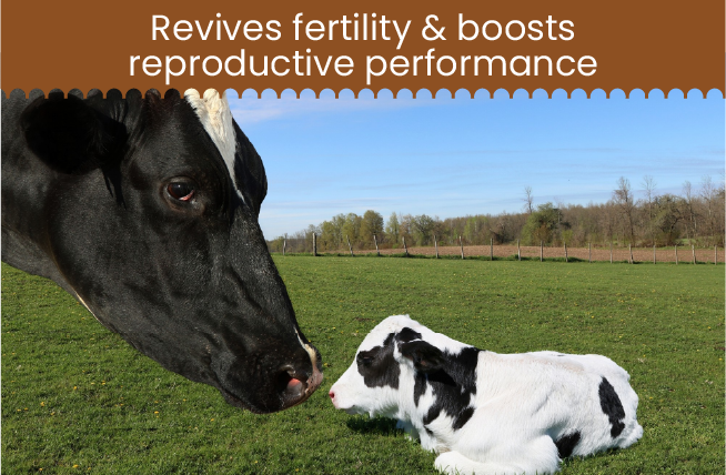 Benefit Image