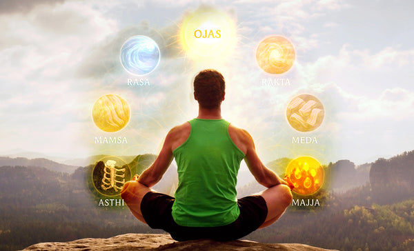 Sapta Dhatu: The Seven Tissues