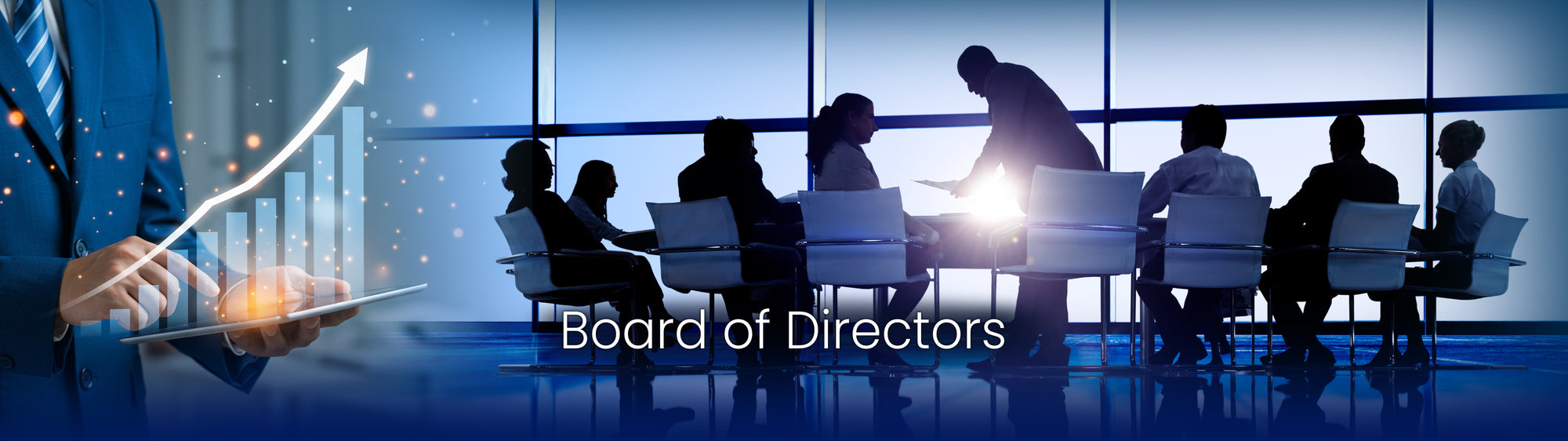 Board of Directors Desktop