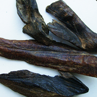 Agru (Aquilaria agallocha)