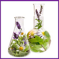 Key Herbs & its Action Icon